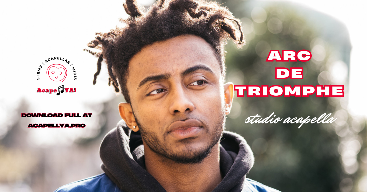 Aminé - Arc de Triomphe (Studio Acapella)
