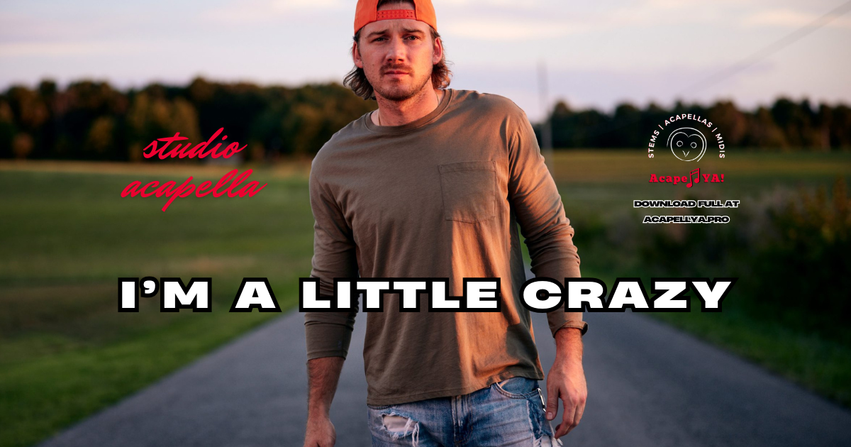 Morgan Wallen - I'm A Little Crazy (Studio Acapella)