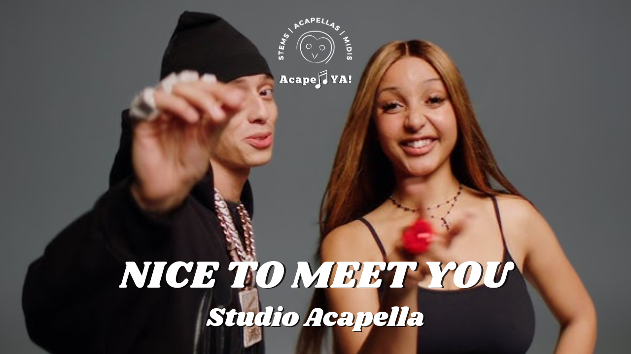 PinkPantheress ft. Central Cee - Nice to Meet You (Acapella)