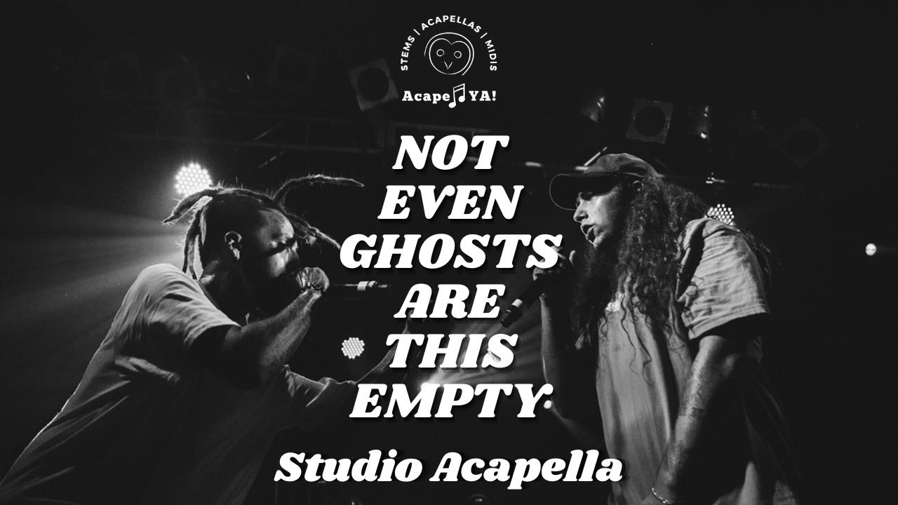 Suicideboy$ - Not Even Ghosts Are This Empty