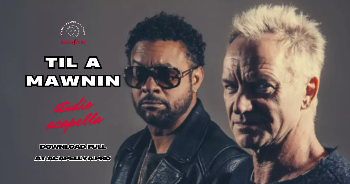 Shaggy ft. Sting - Til A Mawnin (Studio Acapella)