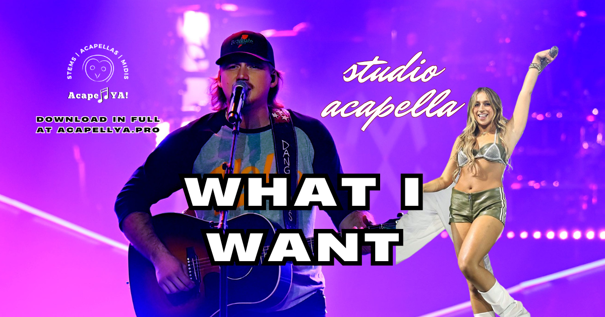 Morgan Wallen ft. Tate McRae - What I Want