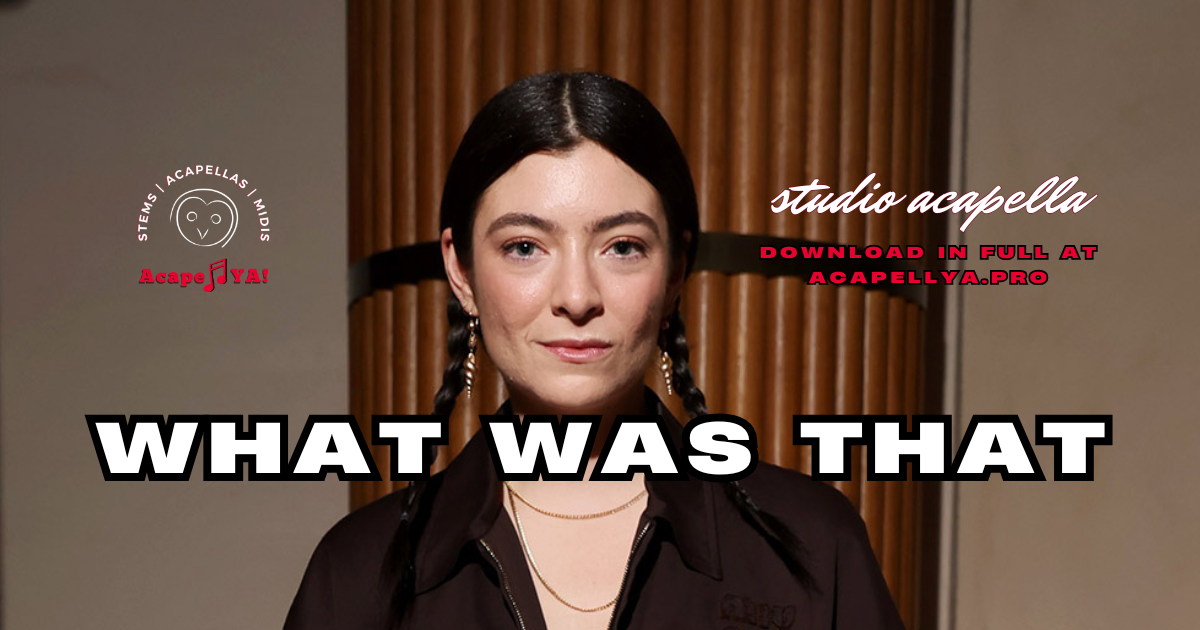Lorde - What Was That
