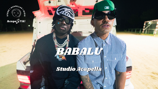 Feid ft. Rema - BUBALU (Studio Acapella)