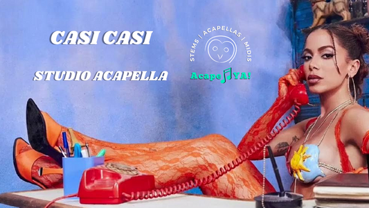 Anita - Casi Casi (Acapella)