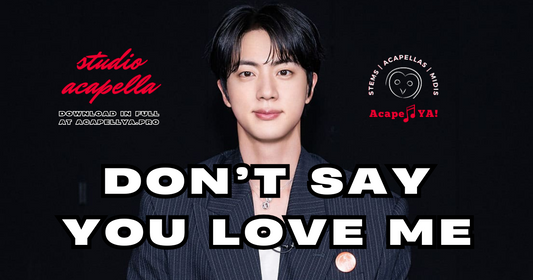 Jin - Don't Say You Love Me