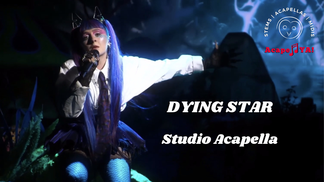 Ashnikko ft. Ethel Cain - Dying Star (Studio Acapella)