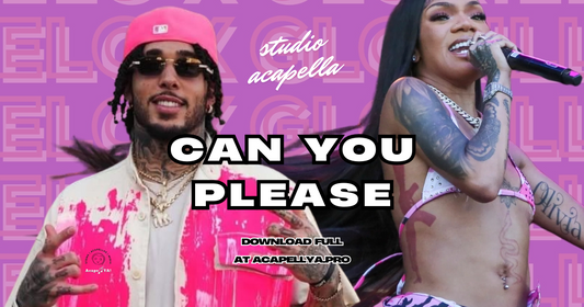 GELO ft. GloRilla - Can You Please