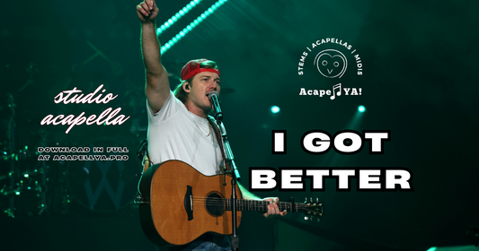 Morgan Wallen - I Got Better
