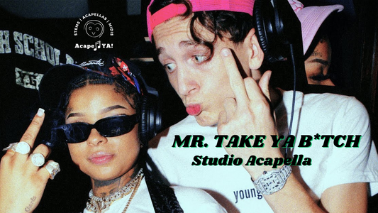 Lil Mabu ft. ChriseanRock - Mr. Take Ya B!tch (Studio Acapella)