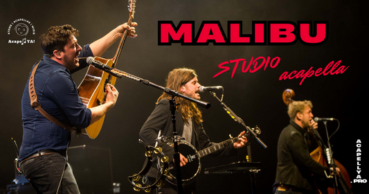 Mumford & Sons - Malibu (Studio Acapella)