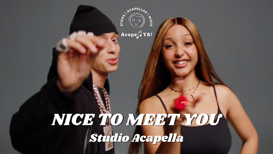 PinkPantheress ft. Central Cee - Nice to Meet You (Acapella)