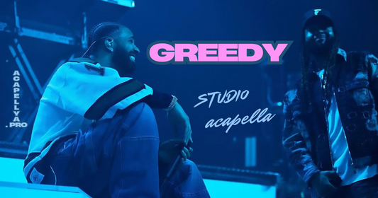 PARTYNEXTDOOR & Drake - GREEDY (Studio Acapella)