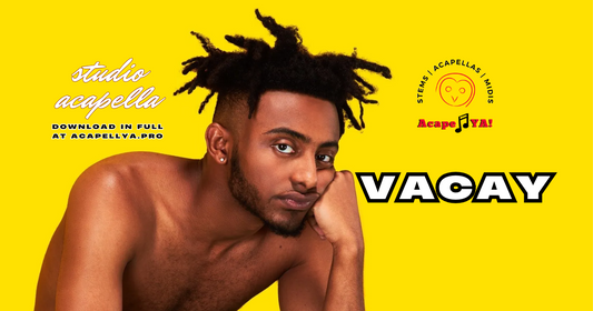 Aminé - Vacay