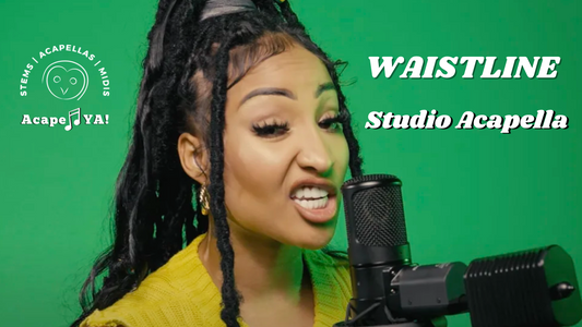 Shenseea - Waistline (Studio Acapella)