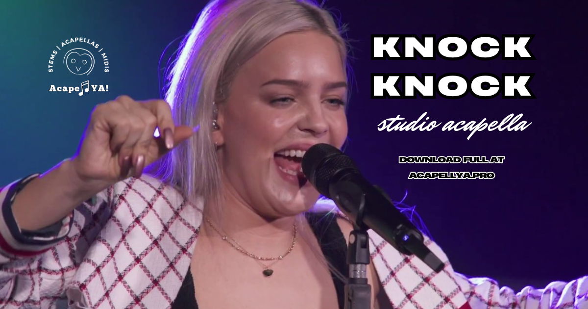 Anne-Marie - Knock-Knock (Studio Acapella)